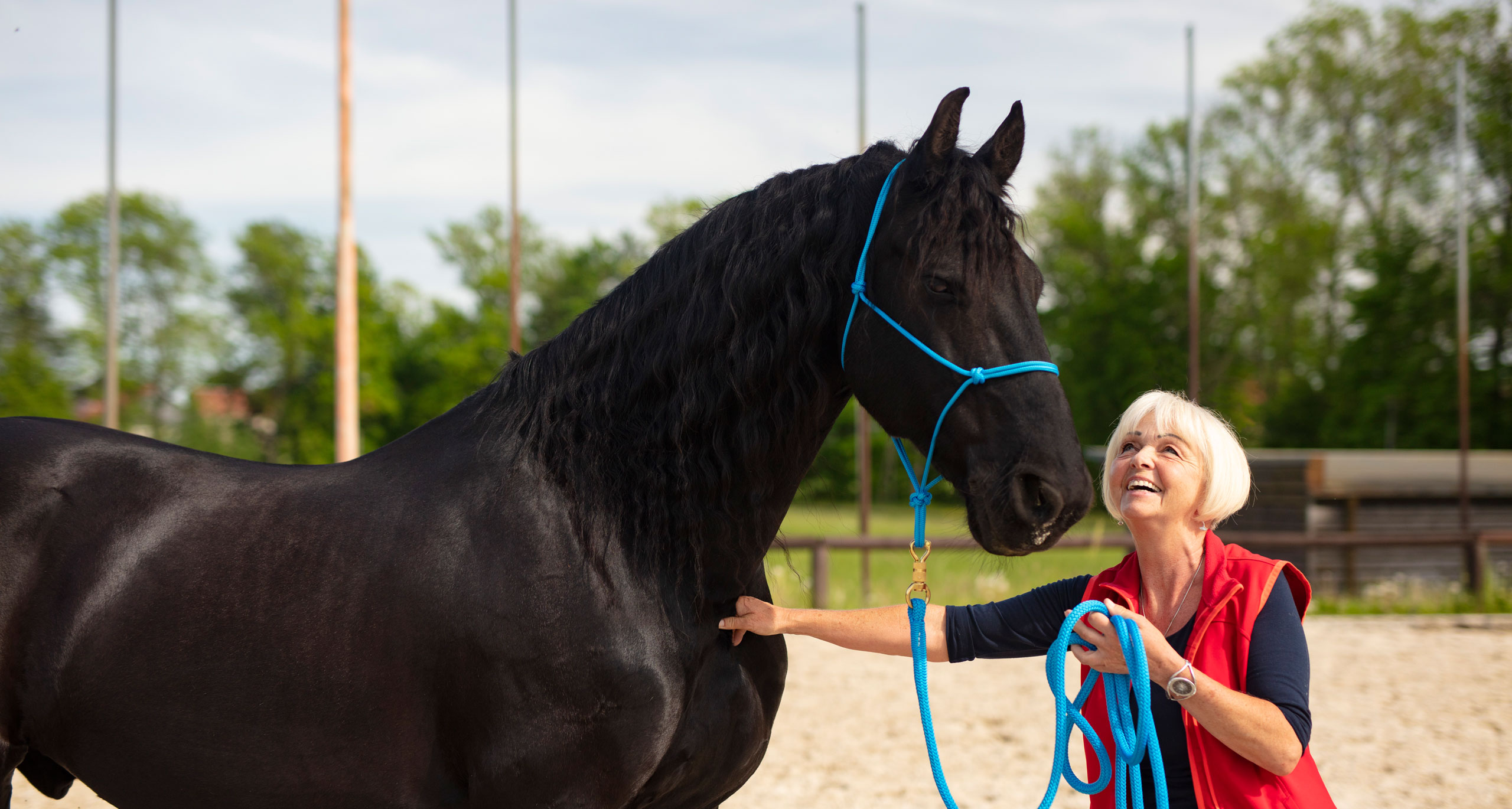 Grit Körner mit dem Friesen Rintje auf dem Reitplatz, Bildstrecke für Pferdverbunden Dresden